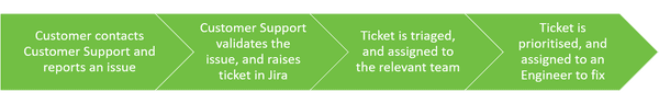 bug-process-diagram